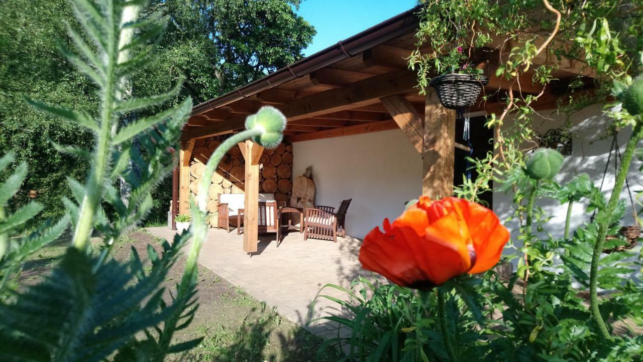 Forest Rustic Apartment Brdy Vesin Εξωτερικό φωτογραφία